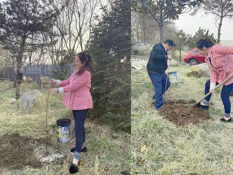 巅峰国际官网-钻营健全,你我一路成长