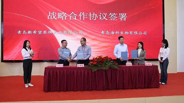 巅峰国际官网-钻营健全,你我一路成长